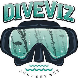 DIVEVIZ JUST GET WET logo