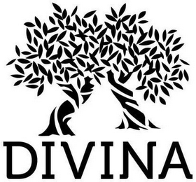 DIVINA logo