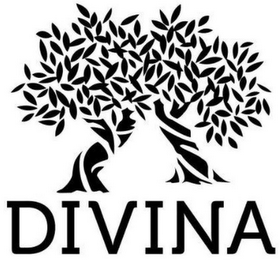 DIVINA logo