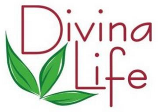 DIVINA LIFE logo