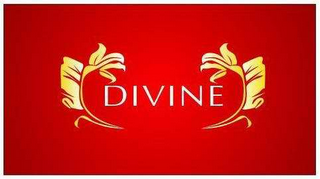 DIVINE logo