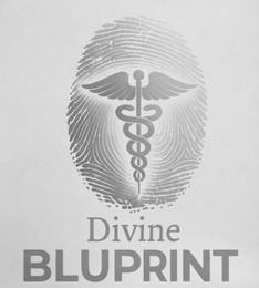 DIVINE BLUPRINT logo