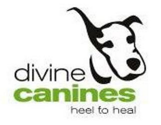 DIVINE CANINES HEEL TO HEAL logo