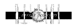 DIVINE CONCEPTS logo