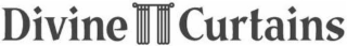 DIVINE CURTAINS logo