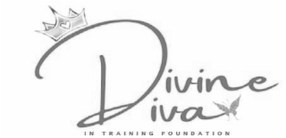 DIVINE DIVA IN TRAINING FOUNDATION logo
