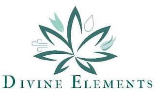 DIVINE ELEMENTS logo