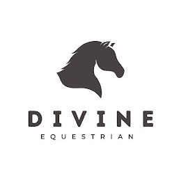 DIVINE EQUESTRIAN logo