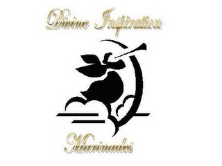 DIVINE INSPIRATION MARINADES logo