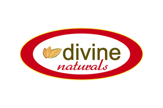 DIVINE NATURALS logo