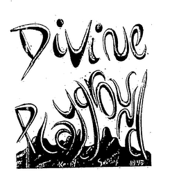 DIVINE PLAYGROUND logo