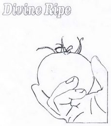 DIVINE RIPE logo