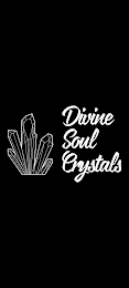 DIVINE SOUL CRYSTALS logo