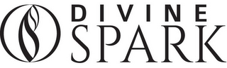 DIVINE SPARK logo