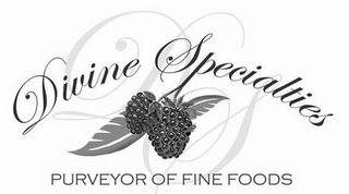 DIVINE SPECIALTIES PURVEYOR OF FINE FOODS logo