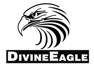 DIVINEEAGLE logo