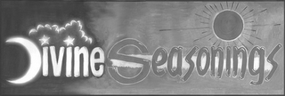 DIVINESEASONINGS logo