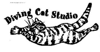 DIVING CAT STUDIO logo
