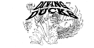 DIVING DUCKS BAND logo