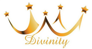 DIVINITY logo