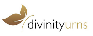 DIVINITYURNS logo