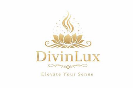 DIVINLUX logo