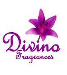 DIVINO FRAGRANCES logo