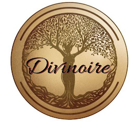 DIVINOIRE logo