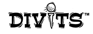 DIVITS logo