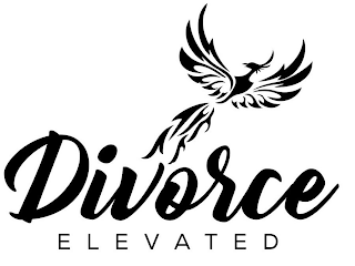 DIVORCE ELEVATED logo