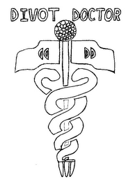 DIVOT DOCTOR logo