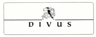 DIVUS logo