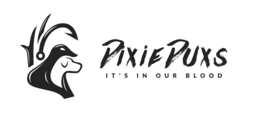 DIXIE DUXS IT'S IN OUR BLOOD logo