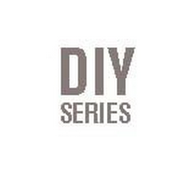 DIY SERIES logo