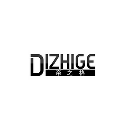 DIZHIGE logo