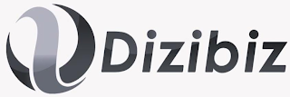 DIZIBIZ logo