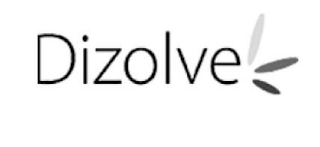 DIZOLVE logo