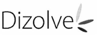 DIZOLVE logo