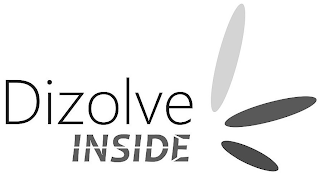 DIZOLVE INSIDE logo