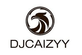 DJCAIZYY logo