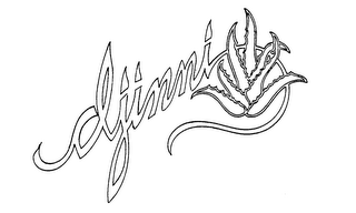 DJINNI logo