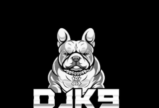 DJK9 logo