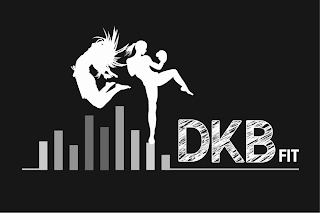 DKB FIT logo