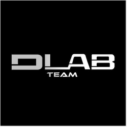 DLAB TEAM logo