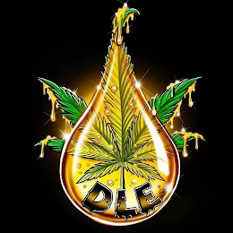 DLE logo