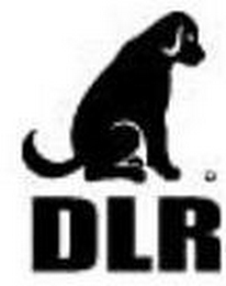 DLR logo