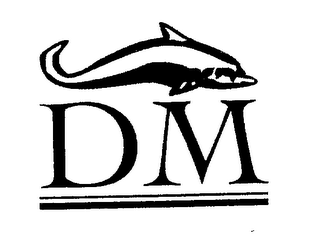 DM logo