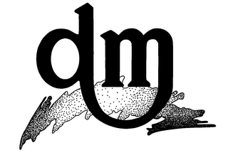 DM logo