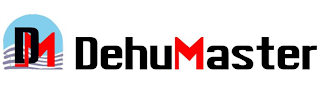 DM DEHUMASTER logo