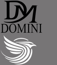 DM DOMINI logo